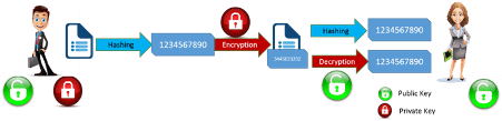 Digital Signature Process