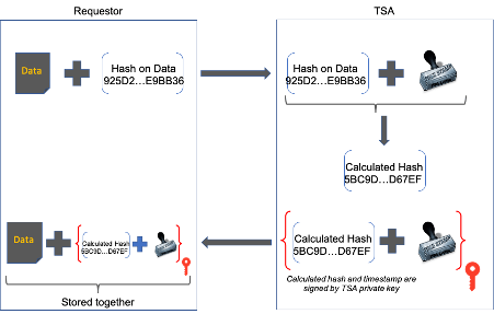 Timestamping Diagram