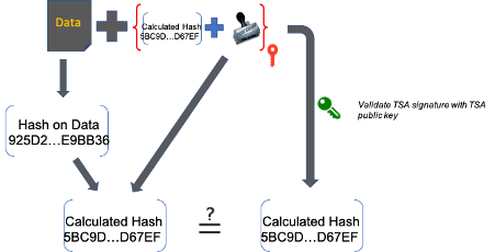 Timestamping Diagram